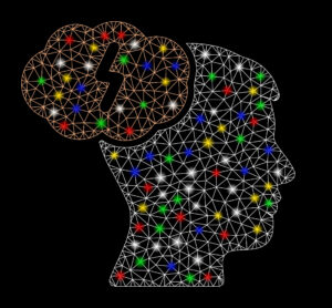 a human brain and face structure