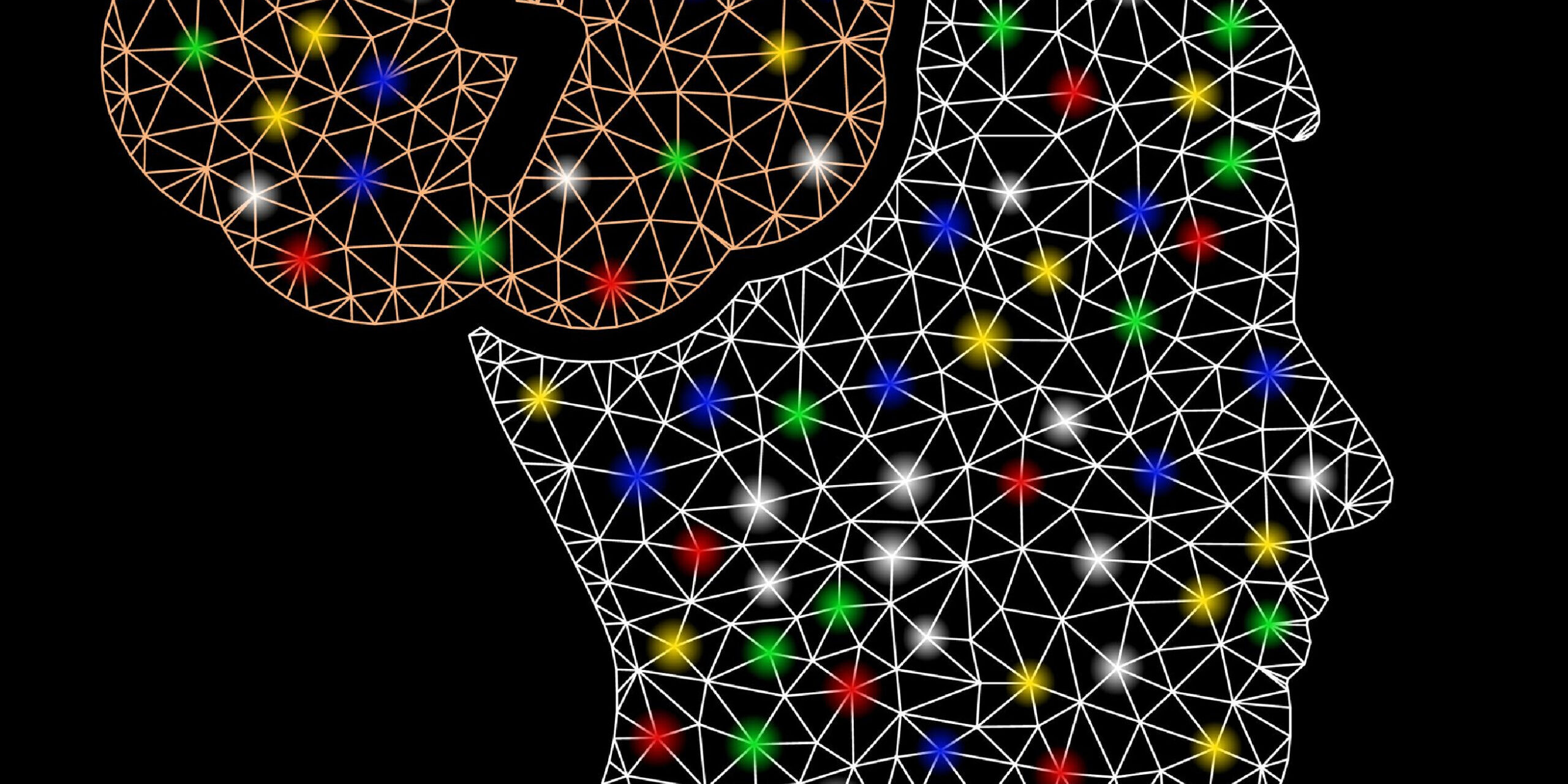 a human brain and face structure