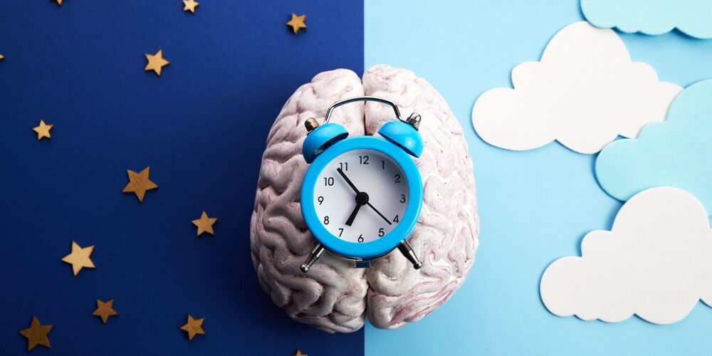 The,Circadian,Rhythms,Are,Controlled,By,Circadian,Clocks,Or,Biological white brain with a clock on it.