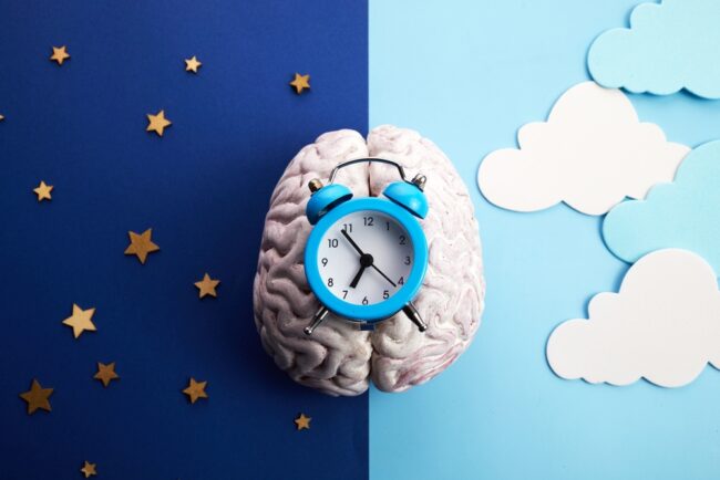 The,Circadian,Rhythms,Are,Controlled,By,Circadian,Clocks,Or,Biological white brain with a clock on it.