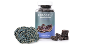 Explore The Transformative Qualities Of Turkey Tail Mushroom Gummies