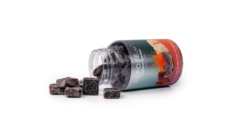 What Makes A Good Mushroom Gummy?