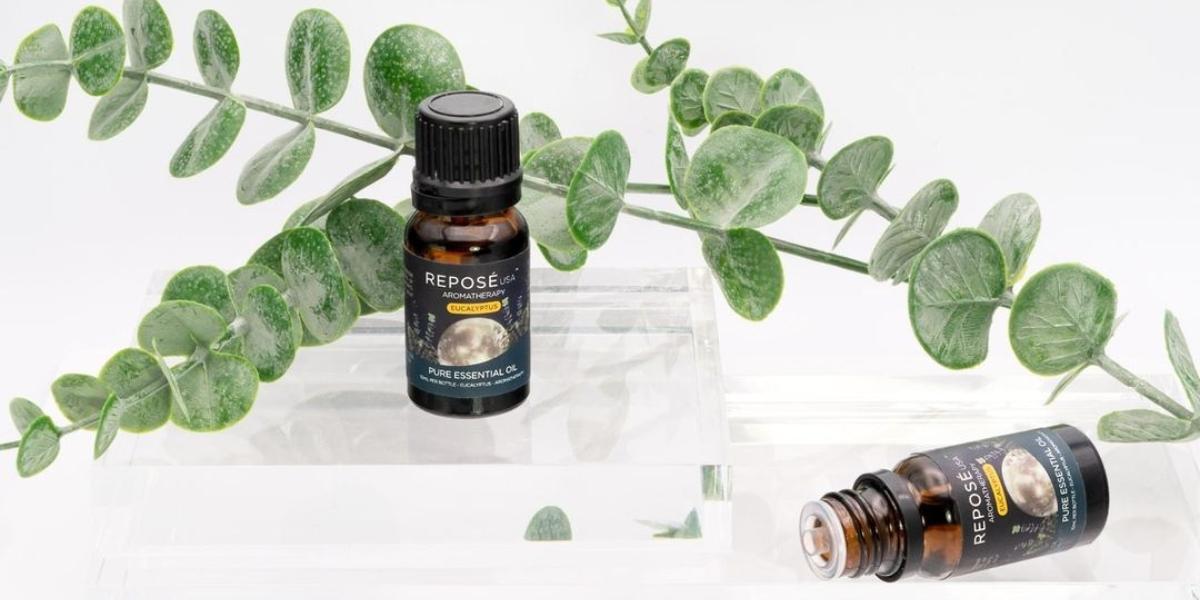 The Healing Power Of Eucalyptus Oil For Coughs And Congestion